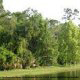 Serene Nature View at Barefoot'n Resort in Orlando, Florida. Beautiful area to spend your Easter Vacation with your Family.