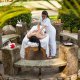 Best Western Plus Hotel massage