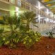 Champions World Resort palmeto bush