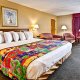 Dayton House Resort 1 king room poolside