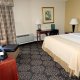 Holiday Inn Express Riverview in Charleston king room