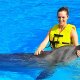 Island Palm Resort dolphin
