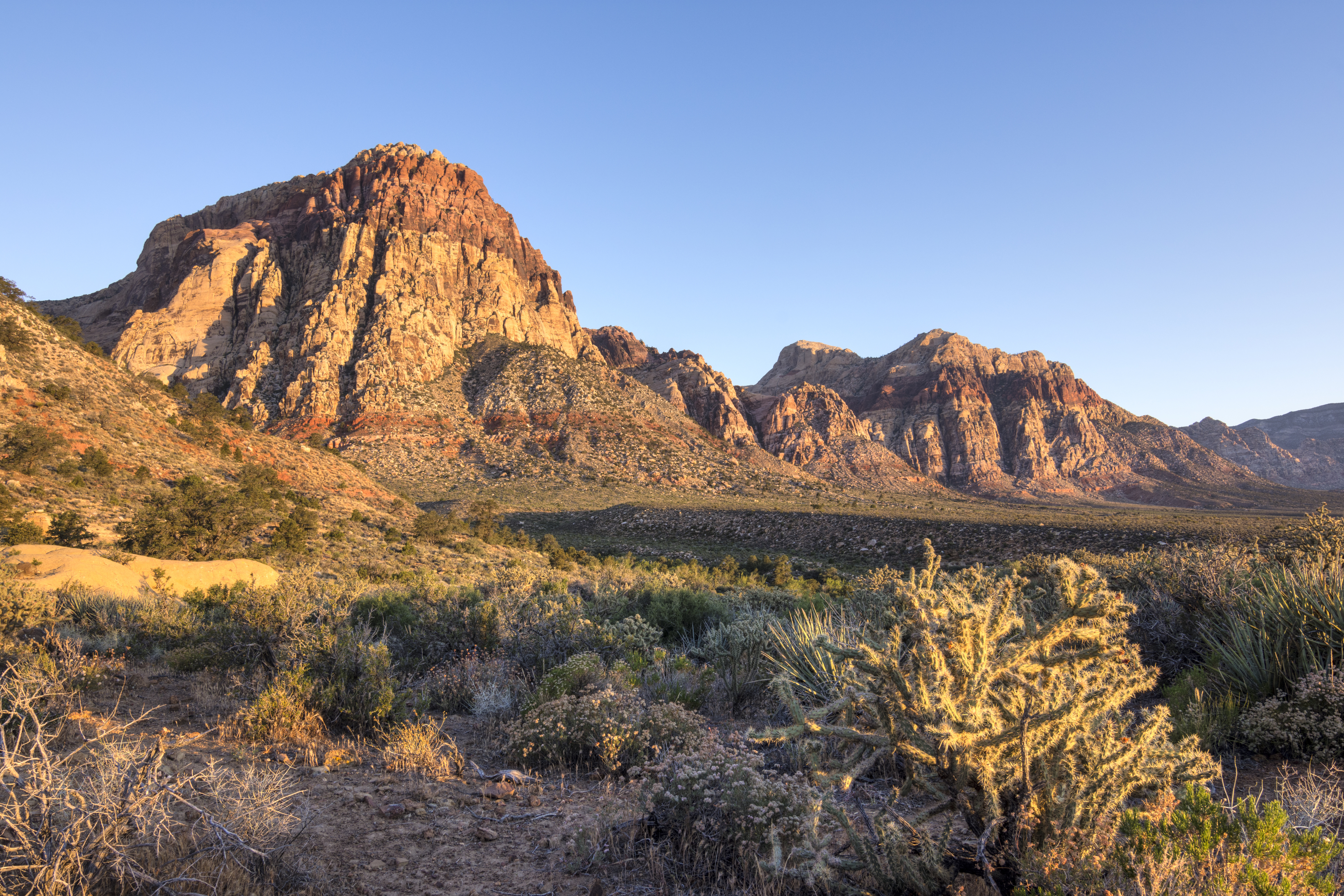 Morning light in harsh desert landscape