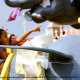 Atop the Dumbo ride in Disneys Magic Kingdom Vacation in Orlando Florida
