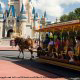 A horse drawn carriage ride through Disneys Magic Kingdom Vacation in Orlando Florida.