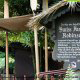 The Swiss Family Robinson attraction in Disneys Magic Kingdom Vacation in Orlando Florida.