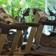 Fitness Room View At Oasis Palm Resort In Cancun, Mexico.