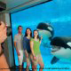 Killer whales clowing around for a photo shoot during summer vacation to Seaworld in Orlando, Florida.