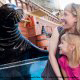 Up close encounters with sealions make a vacation special to Seaworld in Orlando, Florida.