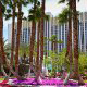 Beautiful Landscaping with Palms at the Tropicana Hotel and Casino in Las Vegas, NV.