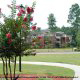 Crepe Myrtles adorn the landscaping at the Wild Wing Resort in Myrtle Beach South Carolina.