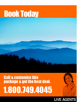 We have the best deals on travel in the Pigeon Forge for Resort and Pigeon Forge Cabin Specials!
